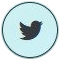 logo twitter
